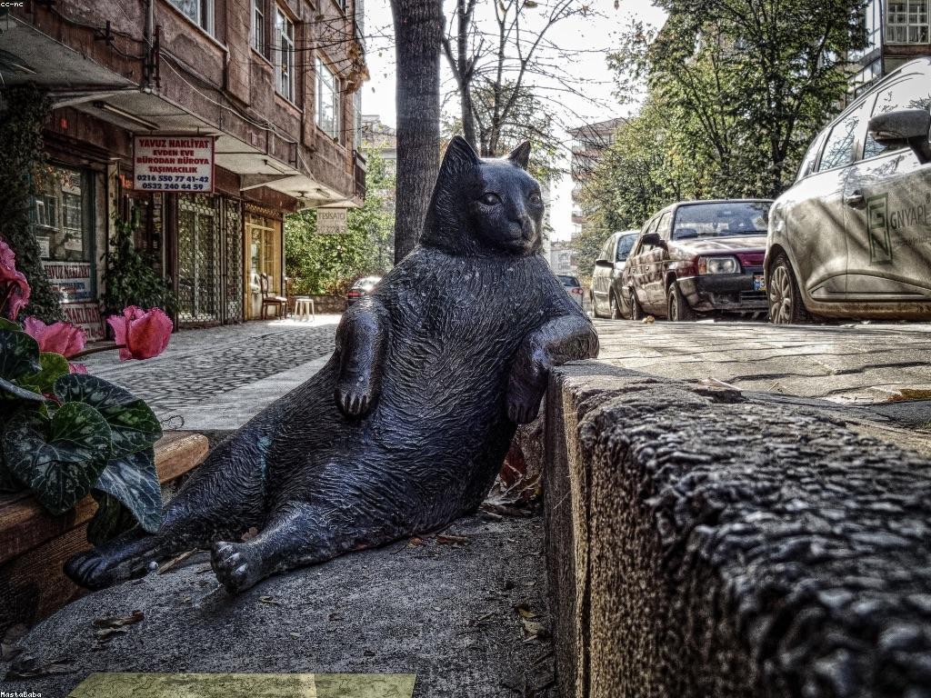 ការប្រឹក្សាសម្រាប់កម្មវិធីសម្ព័ន្ធ